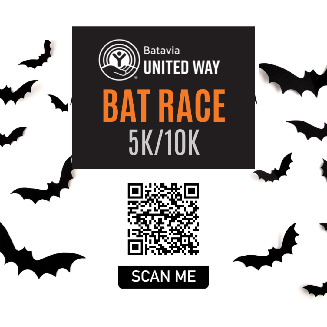 Bat Race Results image